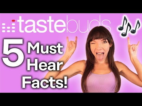 TasteBuds Dating Site Review [Find Love Through Music!]